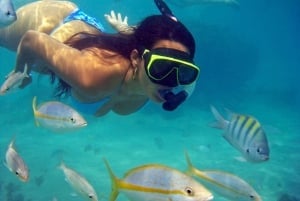 Búzios Tagestour von Rio de Janeiro aus