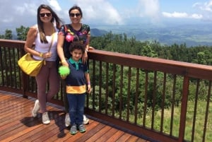 Campos do Jordão: Privat heldagstur fra São Paulo