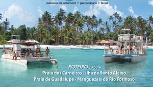 Catamaran Cavalo Marinho