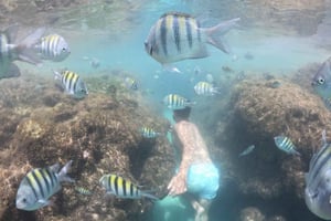 レシフェ発：ジャンガダ付きポルト・デ・ガリーニャスのビーチデイ