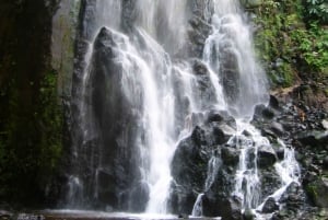 Ganztagestour 4x4 Nordeste Azoren ab Ponta Delgada