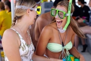 Moreton Island: Delphin und Tangalooma Wracks Tagesausflug