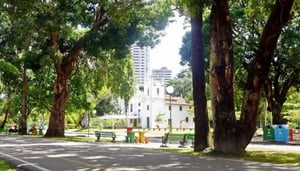 Parque da Jaqueira (Jaqueira Park)