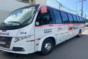 Privater Transfer von Recife nach Serrambi Beach