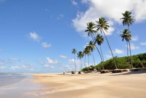 Recife: Tour naar Porto de Galinhas