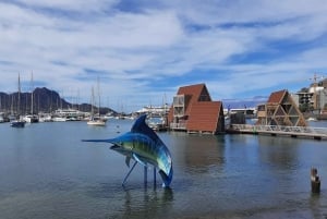 São Vicente: Markeder, strande og naturpark-tur