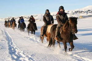 From Reykjavik: Full-Day Horse Riding & Golden Circle Tour