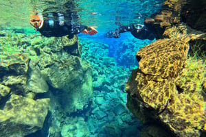 From Reykjavík: Silfra Snorkeling with free photos