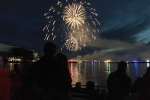 Reikiavik: Crucero con fuegos artificiales de Nochevieja