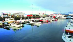 Old Harbour Reykjavik