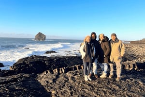Reykjanes Peninsula : Private Guided Day Tour