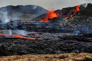 Półwysep Reykjanes - prywatna wycieczka