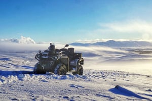 Reykjavik: ATV-tur og hvalsafari med båt