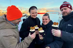 Reykjavik: Mattur med over seks smaksprøver på islandske klassikere