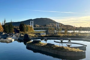 Reykjavik: Golden Circle-tur og inngang til Laugarás-lagunen