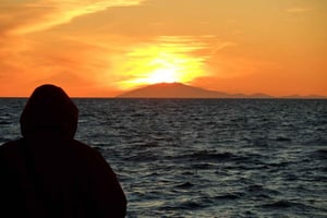 Reykjavik: Midnight Sun Whale Watching Tour