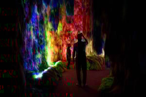 Reykjavík : Installation artistique multisensorielle Chromo Sapiens