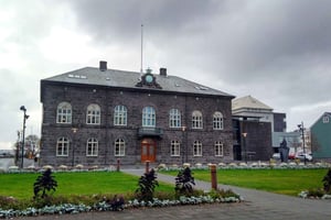 Reykjavik: Privat byrundvisning – højdepunkter