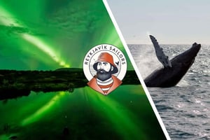 Reykjavik: Valaiden katselu ja revontulien yhdistelmäristeily