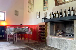 Frascati: Weinberg-Weinverkostung mit Snacks