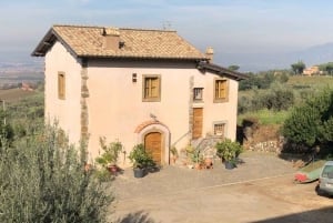 Frascati Wine Road from Tasting & Lunch