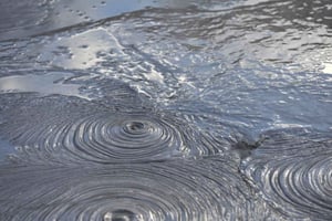 Auckland: Escursione di una giornata intera alla valle geotermica di Rotorua