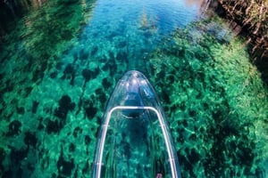 Dunnellon: Geführte Tour mit transparentem Kajak in Rainbow Springs