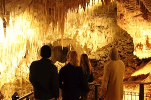 From Auckland: Waitomo Glow Worm Caves & Rotorua Tour