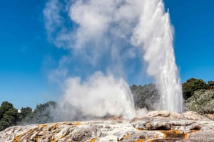 From Auckland: 1-Way Transfer to Rotorua with Hobbiton Tour