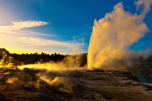 Hobbiton Movie Set & Rotorua Premium Day Tour from Auckland