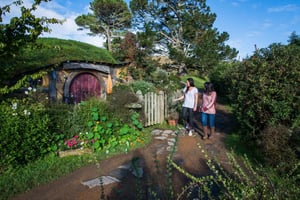 Hobbiton Movie Set & Te Puia Geothermal Valley Private Tour