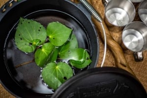 Из Роторуа: культурная экскурсия по тропическому лесу Виринаки с гидом