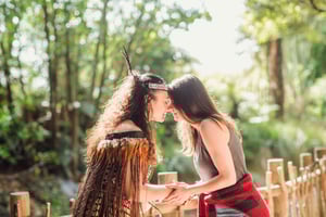 National 'Funky Chicken' Hop-On Hop-Off buskort