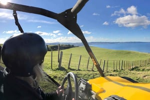 Rotorua: 4×4 Self-Drive Buggy Tour läpi maatilan ja pensaikon