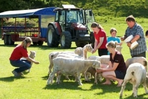 Rotorua Avonturen Privétour