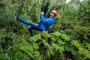 Rotorua: 6 Ziplines, Swing-Bridges & Wildlife Encounters