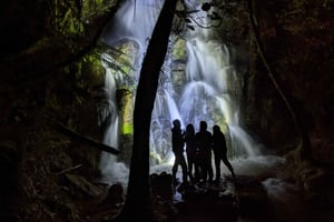 Rotorua: Nocturnal Glow-Worm Adventure Tour with a Guide