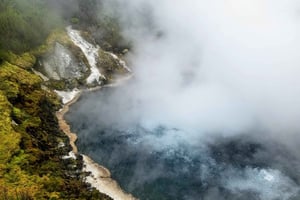 Rotorua: 'Thermal Path Tour' Geothermal half day Tour