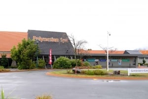 Rotorua: Aldeia Maori Te Puia e excursão de rejuvenescimento