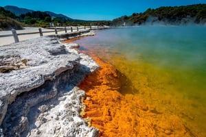 Rotorua: Wai-O-Tapu, Redwoods, and Secret Spot a Day Tour