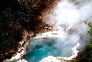 Taupo: Inträdesbiljett till Orakei Korako Geothermal Park och Cave