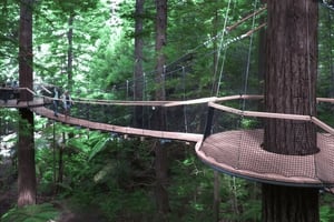 Tauranga: Rotorua Redwoods -kierros ja maorikyläelämys