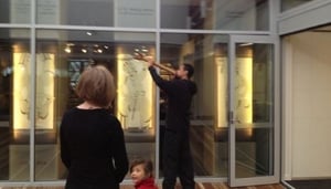 Te Koputu Galeria Alive Experience