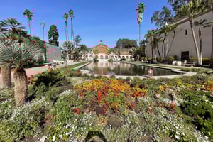 5 1/2-часовая частная экскурсия по Сан-Диего в автомобиле Lexus ES300H