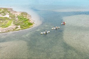 Сан-Диего: прозрачная дикая природа на каяках