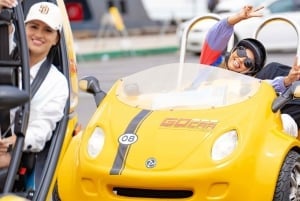 Downtown & Balboa Park GPS Talking Car Tour