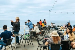 San Diego: City Cruises Walvis- en dolfijnentocht