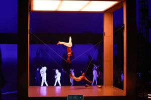 Cirque du Soleil ECHO Ticket