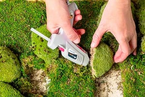 Crea una obra de arte zen con musgo en San Francisco