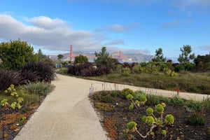 Eeppiset näkymät San Franciscosta – kaupunkivaellus – kaupunki ja luonto